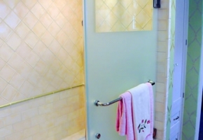 101_shower-door-jack-jill-bathroom-sierra-custom-kitchens-2011